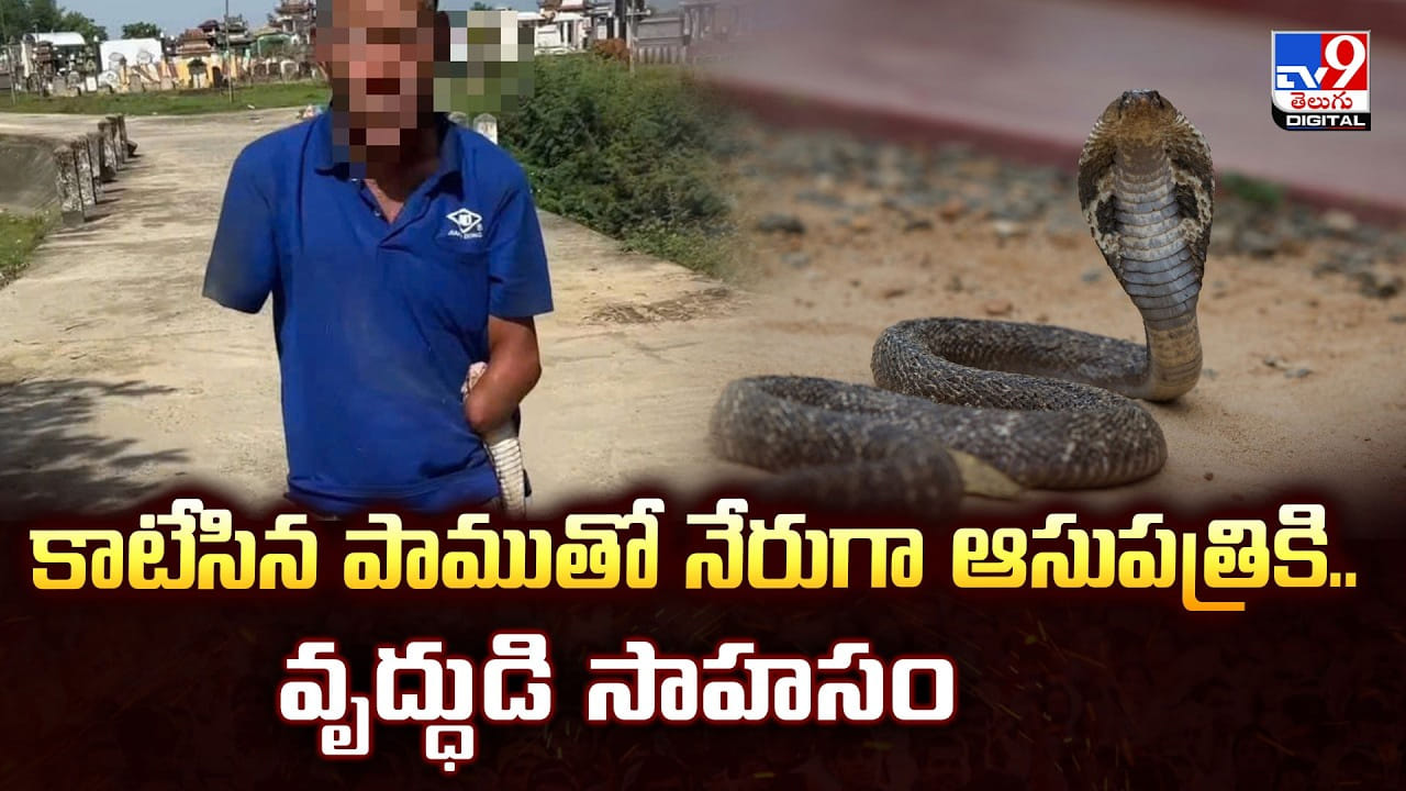 కాటేసిన పాముతో నేరుగా ఆసుపత్రికి.. వృద్ధుడి సాహసం