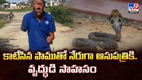 కాటేసిన పాముతో నేరుగా ఆసుపత్రికి.. వృద్ధుడి సాహసం