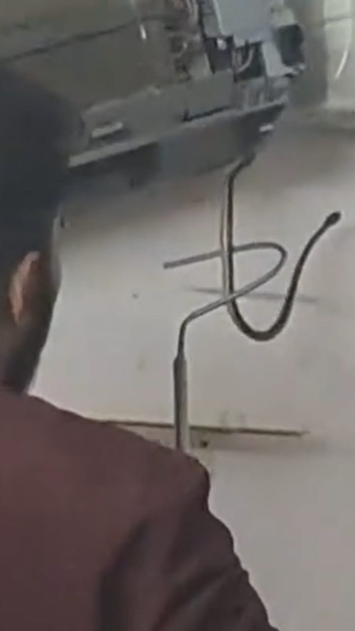 కేరళలో షాకింగ్ ఘటన.. బెడ్‌రూమ్ ACలో ఐదు పాములు..!