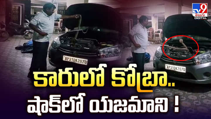 Viral Video: కారులో కోబ్రా.. షాక్లో యజమాని Viral Video: కారులో కోబ్రా.. షాక్లో యజమాని