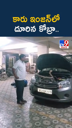 వామ్మో.. కారు ఇంజన్‌లో దూరిన పాము.. చివరకు..?