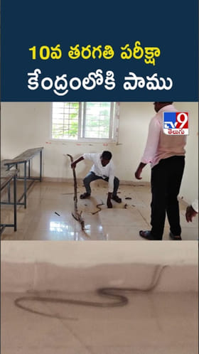 10వ తరగతి పరీక్షా కేంద్రంలో పాము ప్రత్యక్షం..