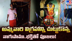 అమ్మవారి విగ్రహాన్ని చుట్టుకొన్న నాగుపాము..భక్తితో పూజలు!