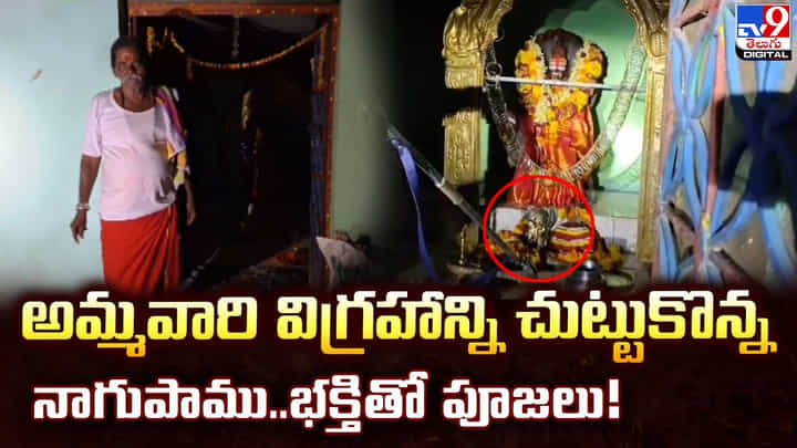 అమ్మవారి విగ్రహాన్ని చుట్టుకొన్న నాగుపాము..భక్తితో పూజలు! అమ్మవారి విగ్రహాన్ని చుట్టుకొన్న నాగుపాము..భక్తితో పూజలు!