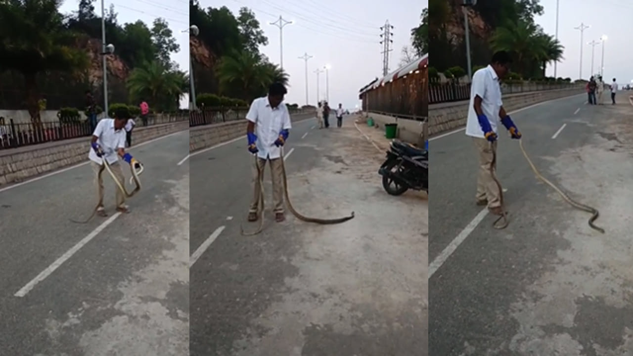 ఓరీ దేవుడో.. తిరుమల క్యూ లైన్లలో పాముల హల్చల్.. భయం గుప్పిట్లో భక్తులు!