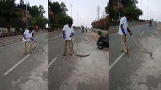 Chicken Prices: మాంసం ప్రియులకు చేదు వార్త.. భారీగా పెరిగిన చికెన్ ధరలు.. ఇప్పుడు కిలో ఎంతంటే..?