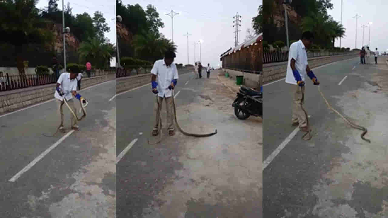 ఓరీ దేవుడో.. తిరుమల క్యూ లైన్లలో పాముల హల్చల్.. భయం గుప్పిట్లో భక్తులు!