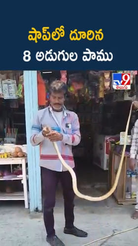 వామ్మో.. షాప్‌లోకి దూరిన పొడవాటి పాము..ఇదిగో వీడియో
