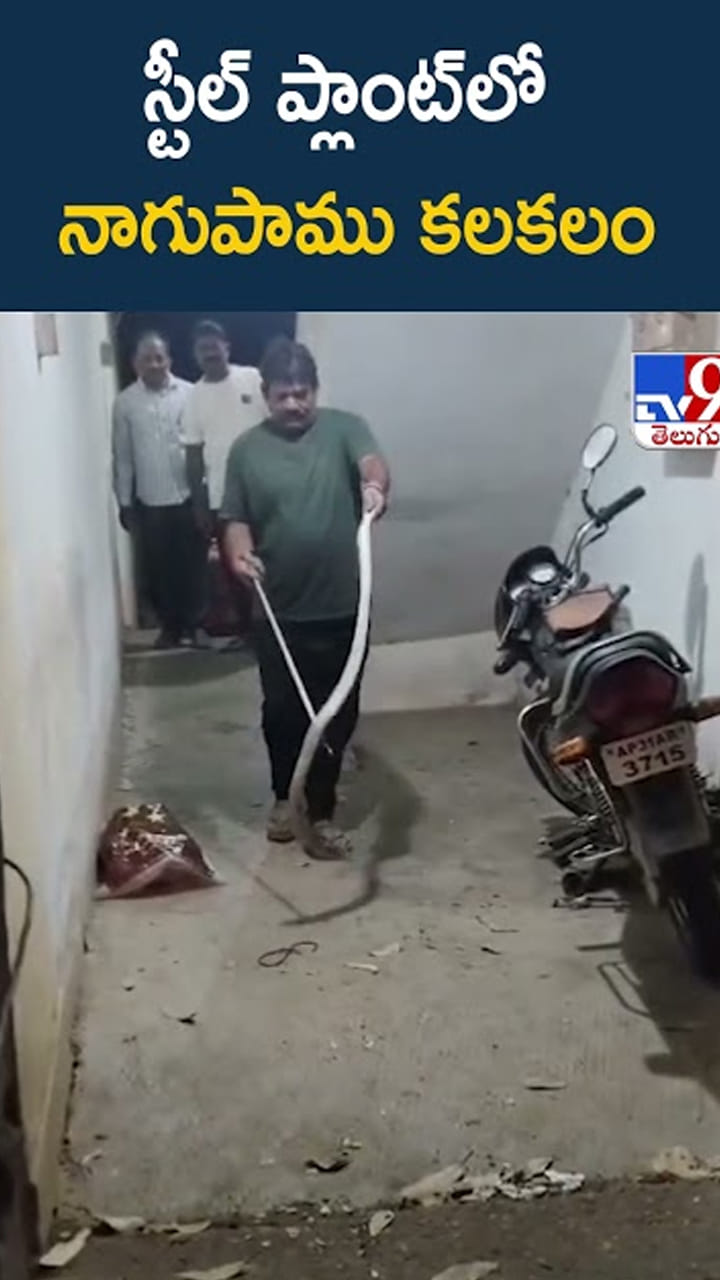 అమ్మ బాబోయ్.. ఆ ఇంట్లో చప్పుళ్లు.. ఏంటా అని చూడగా..