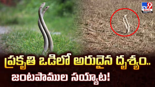 అధికారుల నిర్లక్ష్యం..నాలాలో బాలుడు..