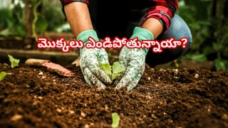 Telangana: ఇందిరమ్మ ఇళ్లలో ఏఐ ఫిల్టర్‌.. అర్హులకు న్యాయం, అనర్హులకు షాక్‌