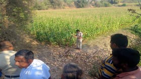 పంట పొలాలకు వెళ్లి తిరిగి రాని రైతులు..!