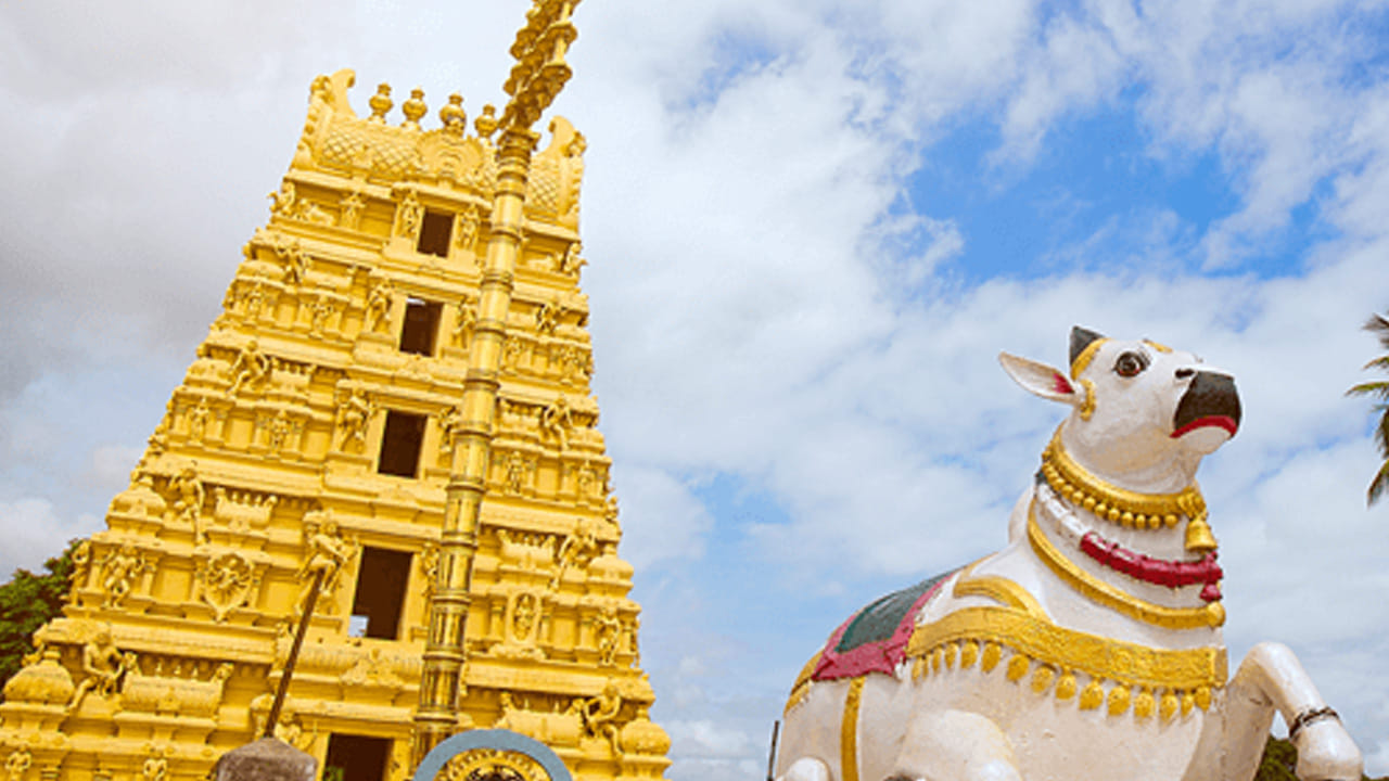  స్వామి, అమ్మవార్లకు మొక్కులు తీర్చుకునేందుకు దర్శనానికి భారీగా తరలి వచ్చిన కన్నడ, మహారాష్ట్ర భక్తజనంతో క్షేత్రమంత సందడి వాతావరణం నెలకొంది. భక్తులు వేకువ జామున నుండే పాతాళ గంగలో పుణ్య స్నానాలు ఆచరించి శ్రీ భ్రమరాంబ మల్లికార్జునస్వామి, అమ్మవార్ల దర్శనార్థమై క్యూలైన్స్ లో దర్శన కంపార్టుమెంటులలో బారులు తీరారు.