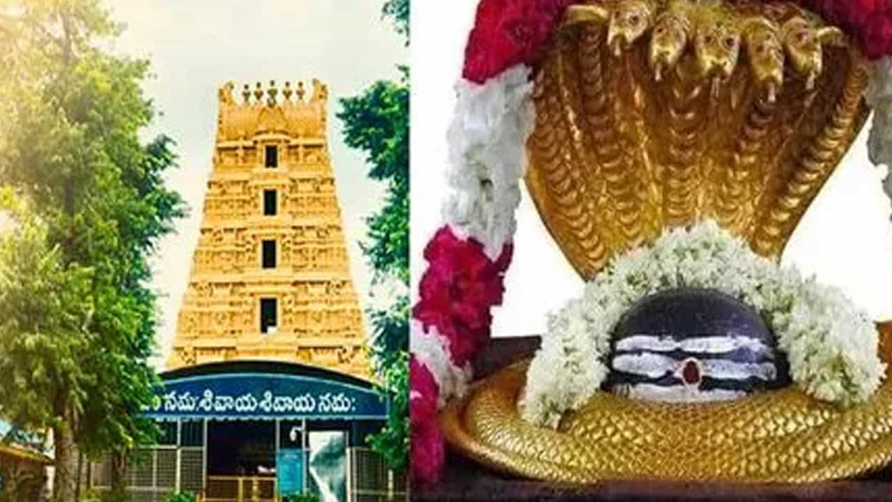 శ్రీ స్వామి అమ్మ వార్ల దర్శనానికి సుమారు 4 గంటల సమయం పడుతుంది. మరోపక్క భక్తులు రద్దీ దృష్ట్యా శని, ఆది, సోమవారంలో ఆర్జిత అభిషేకాలు, కుంకుమార్చన నిలుపుదల చేసిన అధికారులు, సామాన్య భక్తులకు ఉచిత, శీఘ్ర, అతిశీఘ్ర, దర్శనానికి క్యూ లైన్ల ద్వారా ప్రవేశం ఇచ్చారు.