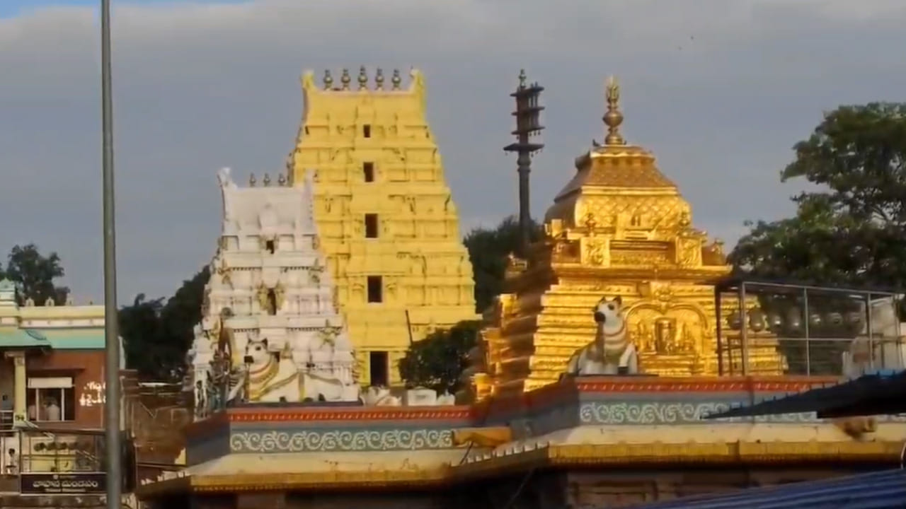 ఆన్‌లైన్లో వీఐపీ బ్రేక్ టికెట్లు, కరెంట్ బుకింగ్  చేసుకున్న భక్తులకు నాలుగు విడతలుగా ఉదయం 6:00 నుండి 8.00 కు మళ్లీ 11:30 నుండి మధ్యాహ్నం 1.30 వరకు రాత్రి 7.30 నుండి 9.30 తిరిగి 10.30 నుంచి 11:30 వరకు  మాత్రమే(BREAK) స్పర్శ దర్శనానికి అనుమతిస్తున్నారు.