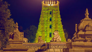 అయ్యో.. కన్నీరు పెట్టిస్తున్న టమాటా.. కిలో ధర ఇంత తక్కువనా?