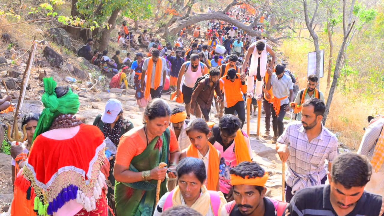 ఆంధ్రప్రదేశ్‌లోని ప్రసిద్ధ పుణ్యక్షేత్రం శ్రీశైలంలో కొలువైన ఉన్న భ్రమరాంబికా దేవి అమ్మవారిని కర్ణాటక వాసులు తమ ఇంటి ఆడపడుచుగా కొలుస్తారు. ప్రతియేటా ఉగాది ఉత్సవాల నాటికి తమ ఇంటి ఆడపడుచుకు చీర, సారెలు సమర్పించి మొక్కులు తీర్చుకుంటారు.  అందులో భాగంగా ఈ ఏడాది కూడా చీరె, సారెలతో కర్నాటకకు చెందిన భక్తులు నల్లమల అటవీప్రాంతంలో పాదయాత్ర చేసుకుంటూ పెద్ద ఎత్తున తరలివస్తున్నారు. 