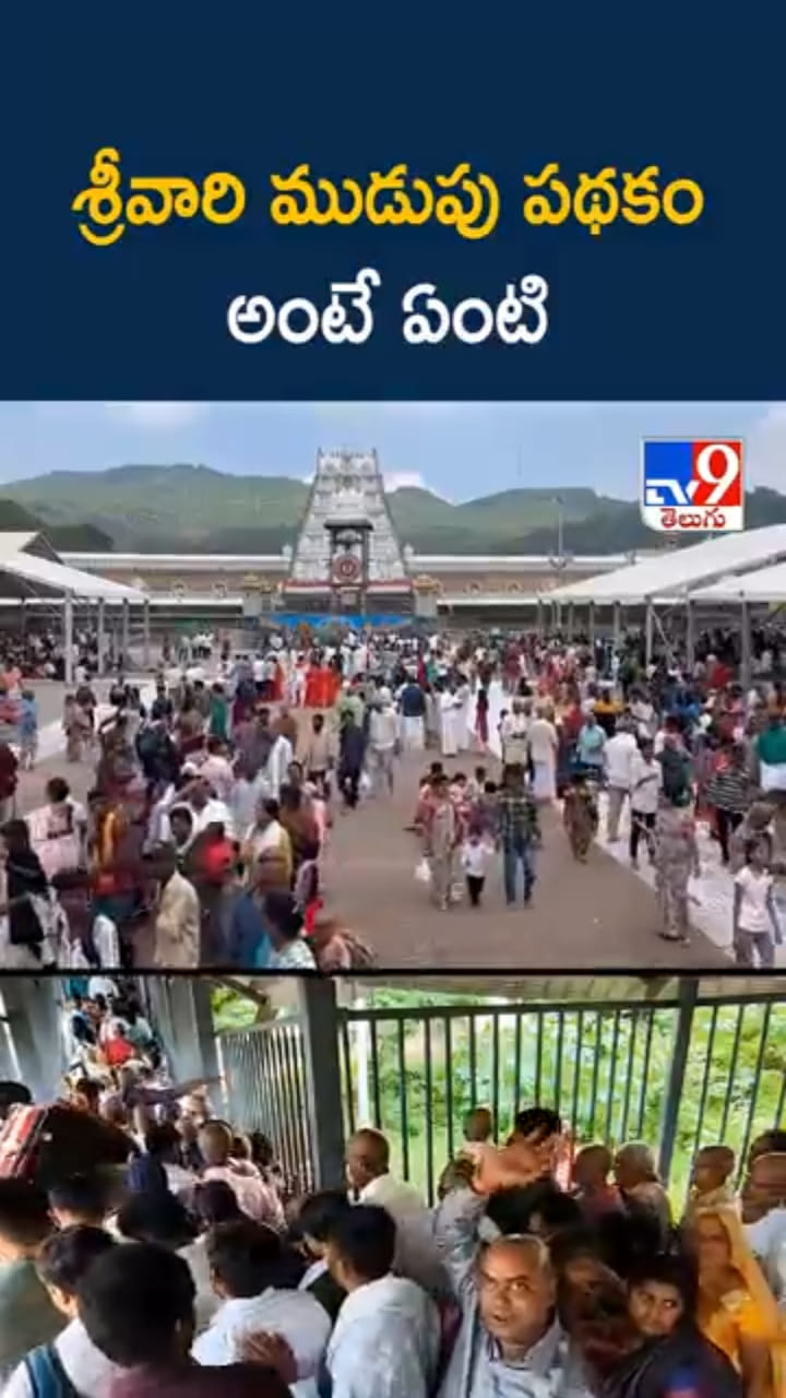 Tirumala: శ్రీవారి ముడుపు పథకం అంటే ఏంటో తెలుసా..?