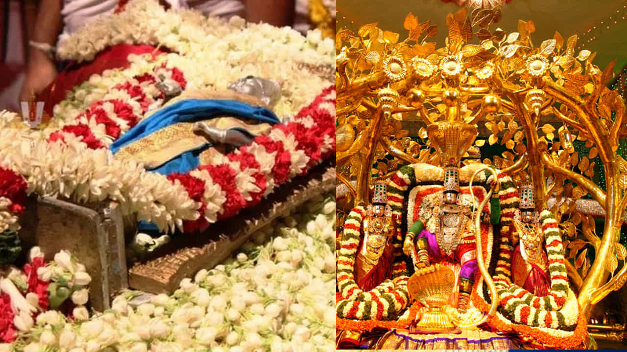 సేవలో పాల్గొనేటప్పుడు పాటించవలసిన నియమాలు..

శ్రీవారి పవలింపు సేవలో పాల్గొనేటప్పుడు భక్తులు ఈ నియమాలను తప్పనిసరిగా పాటించాలి:

 సాంప్రదాయ దుస్తులు ధరించాలి.
 సేవ జరుగుతున్న సమయంలో ప్రశాంతంగా, నిశ్శబ్దంగా ఉండాలి.
 ఆలయంలో ఫోటోలు లేదా వీడియోలు తీయడం పూర్తిగా నిషిద్ధం.
 దేవాలయ ఆచారాలను గౌరవిస్తూ భక్తి భావంతో పాల్గొనాలి.

శ్రీవారి పవలింపు సేవ భక్తులకు అరుదైన ఆధ్యాత్మిక అనుభూతిని అందించే పవిత్రమైన సేవ. స్వామివారిని నిద్రారాధనతో సేవించడం అనేది భక్తులకి అత్యంత భాగ్యంగా భావించబడుతుంది. ఈ సేవలో పాల్గొనడం ద్వారా భక్తులు స్వామివారి అనుగ్రహాన్ని పొందుతూ, జీవితంలో శాంతి, ఆనందాన్ని పొందుతారు.

(ఈ వార్తలోని సమాచారం వివిధ వనరుల నుంచి సేకరించి పాఠకుల ఆసక్తి మేరకు అందించడం జరిగింది. దీనిని సంస్థ ధృవీకరించదు.)