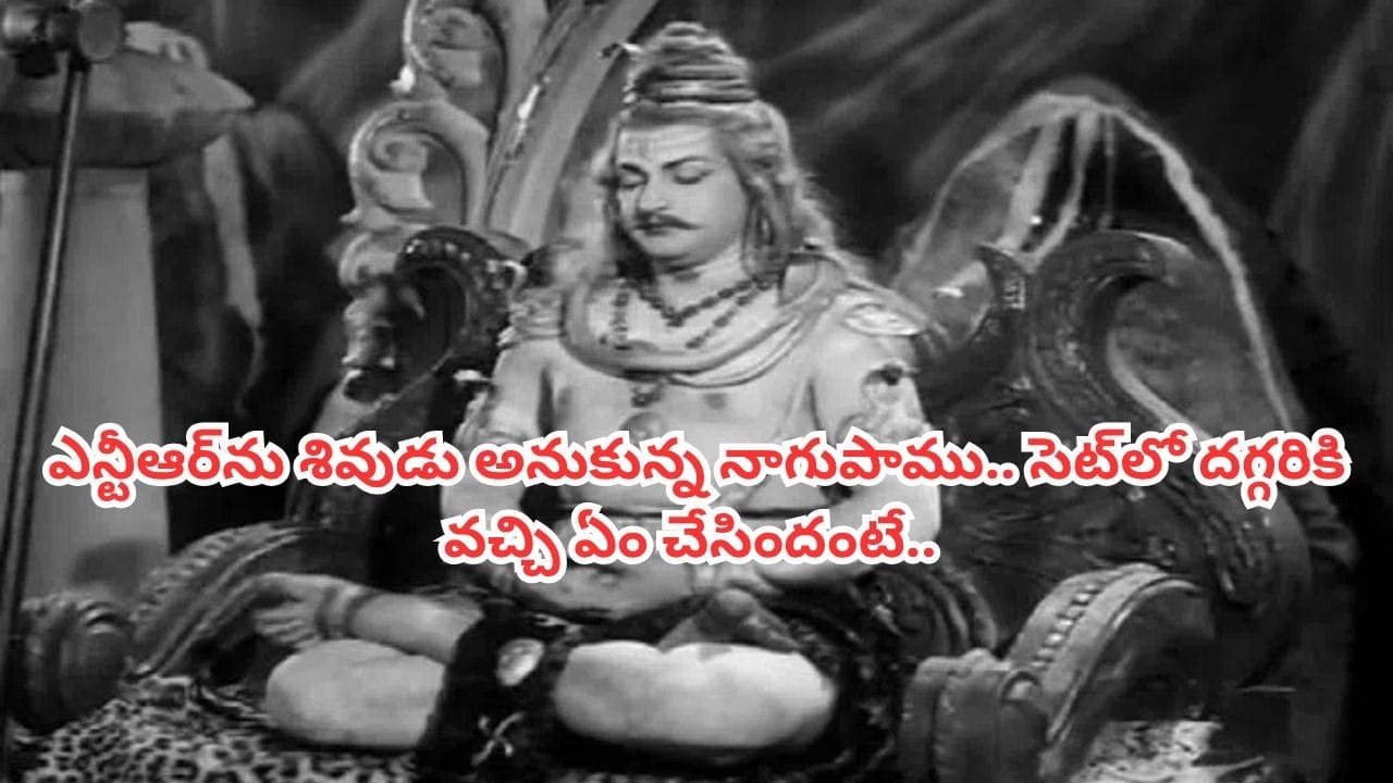 Senior NTR : శివుడి పాత్రలో ఎన్టీఆర్.. నిజమైన నాగుపాము చుట్టుకుందట.. ఈ విషయాలు తెలిస్తే ఆశ్చర్యమే..