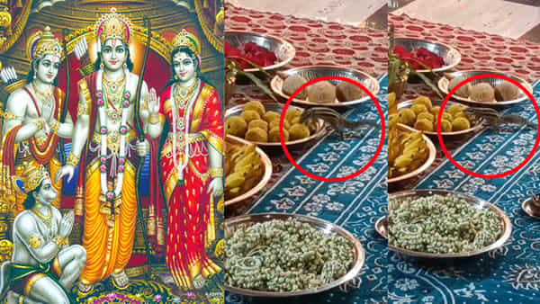 Rama Navami: అబ్బ.. అద్భుత దృశ్యం.. దర్గాలో రాములోరి కల్యాణం.. ఫలహారం తిన్న ఉడుత.. వీడియో ఇదిగో..