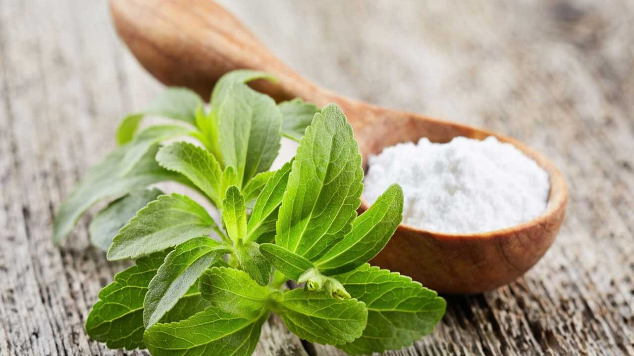 అలాగే స్టీవియా (Stevia) పంట కూడా రైతులకు కొత్త అవకాశాన్ని తెస్తోంది. ఇది సహజమైన తీపి పదార్థంగా ఉపయోగపడే మొక్క. చక్కెర వ్యాధి ఉన్నవారు ఎక్కువగా ఉపయోగించే ఈ మొక్కకు ఔషధ మరియు ఆహార పరిశ్రమల్లో మంచి డిమాండ్ ఉంది. తక్కువ నీటితో సాగు చేయగలిగే ఈ పంట రైతులకు స్థిరమైన ఆదాయం ఇవ్వగలదు.