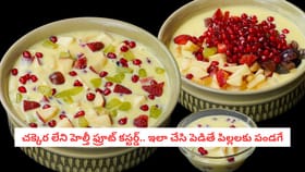 చక్కెర లేని ఫ్రూట్ కస్టర్డ్.. ఇలా చేసి పెడితే పిల్లలకు పండగే