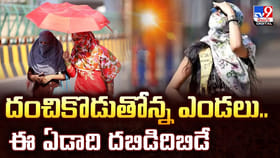 దంచికొడుతోన్న ఎండలు.. ఈ ఏడాది దబిడిదిబిడే