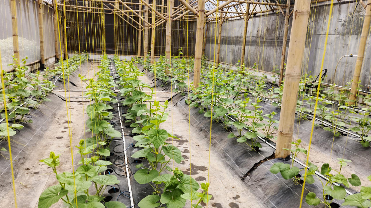 వేసవి కాలంలో నీటి సౌకర్యం ఉన్న ఎకరం పొలాన్ని సమర్థంగా వినియోగిస్తే రైతులు మంచి ఆదాయం పొందవచ్చు. అధిక ఉష్ణోగ్రతలు ఉన్నప్పటికీ, తక్కువ కాలంలో దిగుబడి ఇచ్చే, మార్కెట్లో మంచి ధరలు కలిగిన పంటలను ఎంపిక చేయడం ద్వారా లాభాలు పెంచుకోవచ్చు.