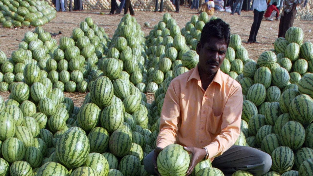 వేసవిలో కర్బూజ (మస్క్ మెలన్), పుచ్చకాయ, దోసకాయ, బీరకాయ వంటి కూరగాయలు మంచి ఎంపిక. ఇవి తక్కువ వ్యవధిలో పండుతాయి, మార్కెట్లో డిమాండ్ ఎక్కువగా ఉంటుంది. ముఖ్యంగా పుచ్చకాయ, కర్బూజ పండ్లకు వేసవిలో ధరలు పెరుగుతాయి.
