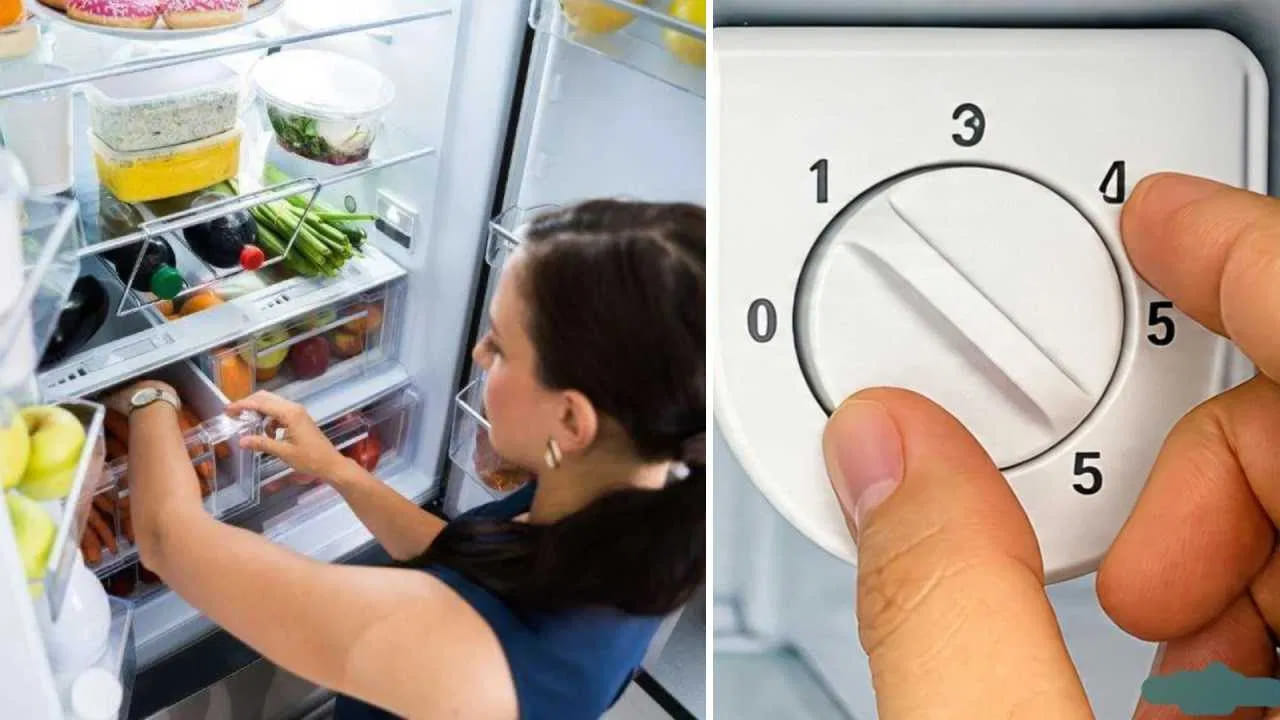 డీఫ్రాస్ట్ చేయడం మర్చిపోవద్దు: డైరెక్ట్ కూల్ ఫ్రిజ్ వాడుతున్నట్లయితే, ఫ్రీజర్‌లో మంచు ఎక్కువగా పేరుకుపోకుండా చూసుకోండి. అర అంగుళం కంటే ఎక్కువ మంచు పేరుకుంటే ఫ్రిజ్ సామర్థ్యం తగ్గిపోతుంది. క్రమం తప్పకుండా డీఫ్రాస్ట్ చేయడం వల్ల విద్యుత్ ఆదా అవుతుంది.
