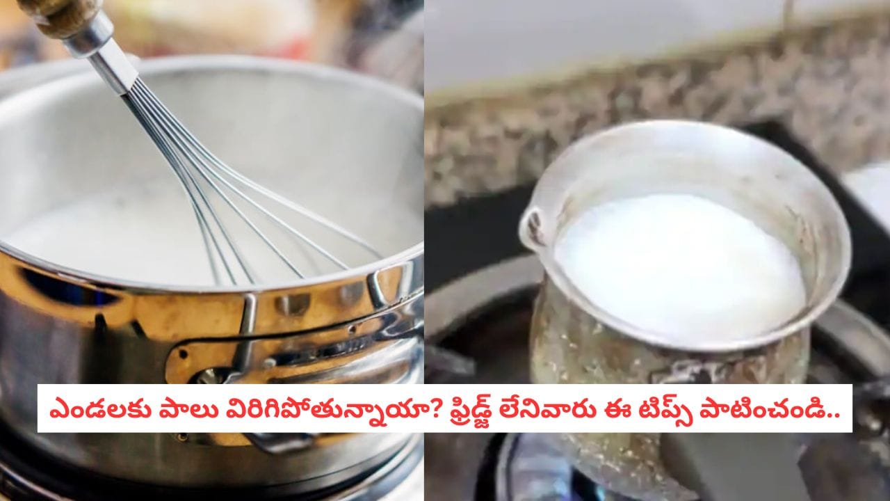 Milk Storage Tips: ఫ్రిజ్ లేకున్నా పాలు విరిగిపోకుండా ఉండాలా?.. మీ డబ్బులు సేవ్ చేసే సీక్రెట్ టిప్స్ ఇవి..