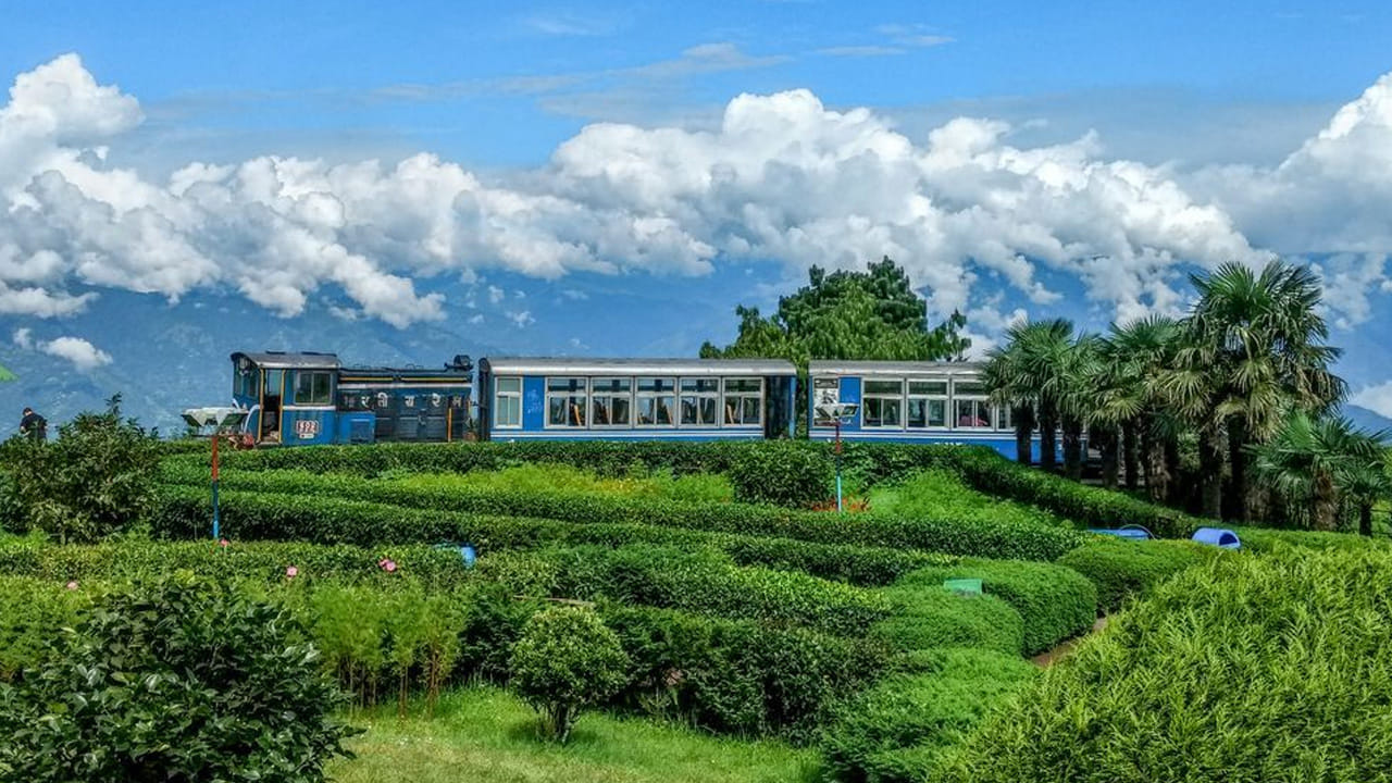 డార్జిలింగ్ , పశ్చిమ బెంగాల్ : కుటంబ సభ్యులతో కలిసి వెళ్లాల్సిన బెస్ట్ ప్లేస్ డార్జిలింగ్. సాంప్రదాయ హిల్ రిసార్ట్. టైగర్ హిల్, టీ తోటలు, ఇవన్నీ ప్రతి ఒక్కరి మనసు దోచుకుంటాయి. అందువలన సమ్మర్‌లో టూర్ వెళ్లాలి అనుకునే వారికి డార్జిలింగ్ బెస్ట్ ప్లేస్.