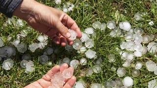 Hyderabad: హైదరాబాద్‌ మార్కెట్లో హాష్‌ ఆయిల్‌.. పోలీసుల దాడులు.. 920 గ్రాముల ఆయిల్ స్వాధీనం