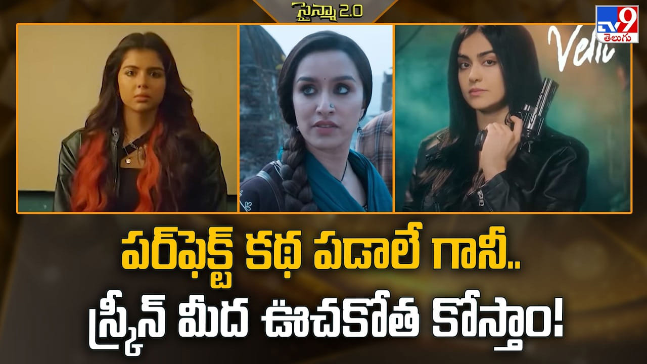 పర్ఫెక్ట్ కథ పడాలే గానీ.. స్క్రీన్ మీద ఊచకోత కోస్తాం పర్ఫెక్ట్ కథ పడాలే గానీ.. స్క్రీన్ మీద ఊచకోత కోస్తాం