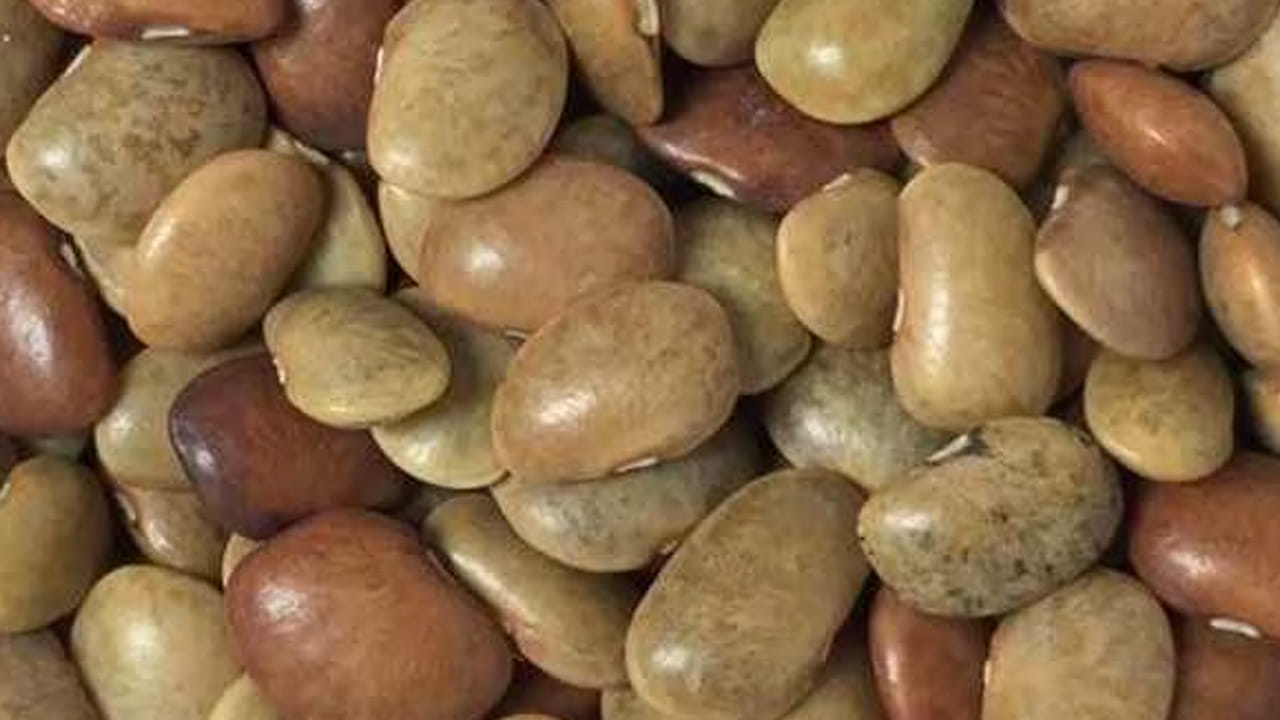 ఉలవల్లో ప్రోటీన్లు, కార్బోహైడ్రేట్లు, కాల్షియం, ఐరన్, ఫాస్పరస్ వంటి వాటితో పాటు B1, B2, B6, C విటమిన్లు సమృద్ధిగా లభిస్తాయి. దీనివల్ల మాంసాహారానికి సమానంగా ప్రోటీన్లు కూడా శరీరానికి అందుతాయి. రక్తహీనతతో, ఎముకల బలహీనతతో బాధపడే మహిళలు, చిన్నారులు రోజూ ఉలవల సూప్ తాగితే ఈ సమస్యలు తగ్గుముఖం పడతాయి. అంతేకాకుండా, శరీరంలోని వ్యాధి నిరోధక శక్తి మెరుగ్గా పనిచేస్తుంది.