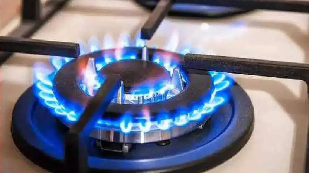 Gas Shortage: గ్యాస్ లేకపోయినా వంట చేసుకోవచ్చు.. ఈ ప్రభుత్వ స్టవ్‌ మీ ఇంట్లో ఉంటే జీవితాంతం ఫ్రీ.. ఇదే మంచి ఛాన్స్..