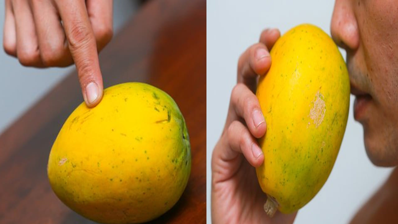 తీపి బొప్పాయి గుర్తించే సీక్రెట్ టిప్స్.. కొనేటప్పుడు ఈ విషయాలు తప్పక గుర్తించుకోండి