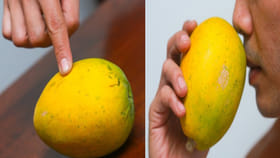 తీపి బొప్పాయి కావాలా? కొనేటప్పుడు ఈ సూచనలు పాటించండి