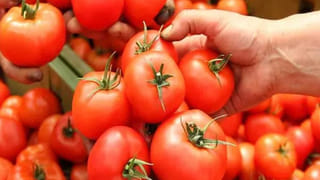 Andhra Pradesh: ఏపీలోని పిల్లలకు ఎగ్ ఫ్రైడ్ రైస్ పంపిణీ.. ఫుడ్ మోనూలో కీలక మార్పులు చేసిన ప్రభుత్వం..