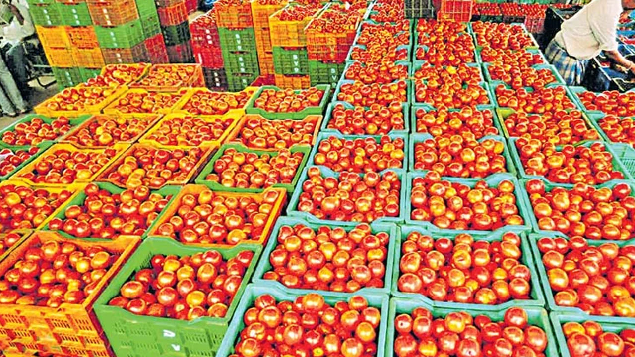 ఒక రోజు పంటను కూలీలను పెట్టి కొస్తే సుమారు మూడు వందల బాక్స్ లు టమోటాలు వస్తాయి. వాటిని అమ్ముకునేందుకు మార్కెట్ కు వెళ్ళాలి అంటే ఒక బాక్స్ రూ.50 రవాణా ఖర్చు అవుతుండగా, మార్కెట్ లో అదే టమోటా బాక్స్ రూ. 40 కొంటూ ఉంటే తాము ఎలా అమ్ముకోవాలి అని రైతులు ఆవేదన వ్యక్తం చేస్తున్నారు.