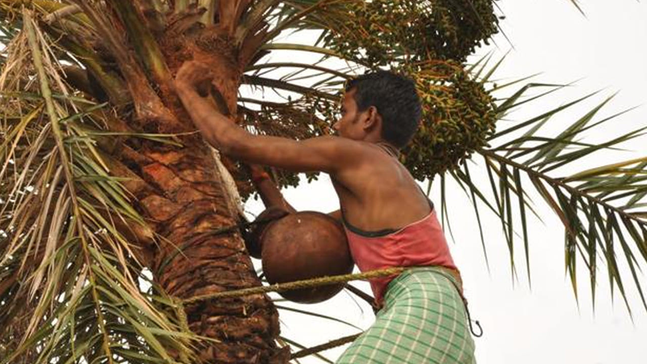 ఈతకల్లు (Silver Date Palm Toddy) - ప్రత్యేకతలు: ఈతకల్లు రుచికి చాలా తీయగా ఉంటుంది. ఇందులో తాటికల్లు కంటే ఎక్కువ పోషక విలువలు (Nutritional value) ఉంటాయని నిపుణులు చెబుతుంటారు. శరీరానికి అవసరమైన ఐరన్, పొటాషియం వంటి ఖనిజాలు ఇందులో లభిస్తాయి. ఇది రోగనిరోధక శక్తిని పెంచడమే కాకుండా, కంటి చూపు మెరుగుదలకు కూడా దోహదపడుతుంది.
