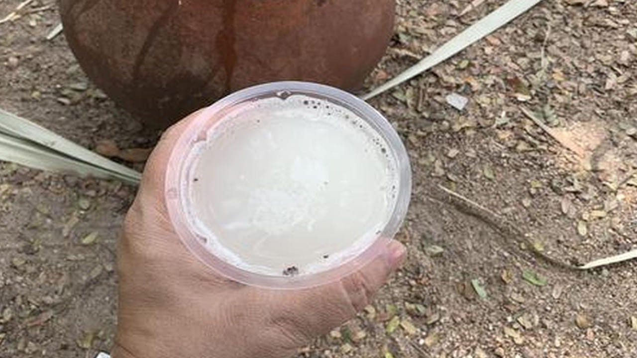 ఏది మంచిది?: వేడి తగ్గించడానికి, మీరు శరీరాన్ని చల్లబరచాలని అనుకుంటే తాటికల్లు ఉత్తమ ఎంపిక. అదే పోషకాల కోసం, తీపి రుచితో పాటు శక్తి కావాలనుకునే వారు ఈతకల్లును ఎంచుకోవచ్చు. ప్రకృతి సిద్ధంగా దొరికే ఈ పానీయాలు మితంగా తీసుకుంటే ఔషధంగా పనిచేస్తాయి.