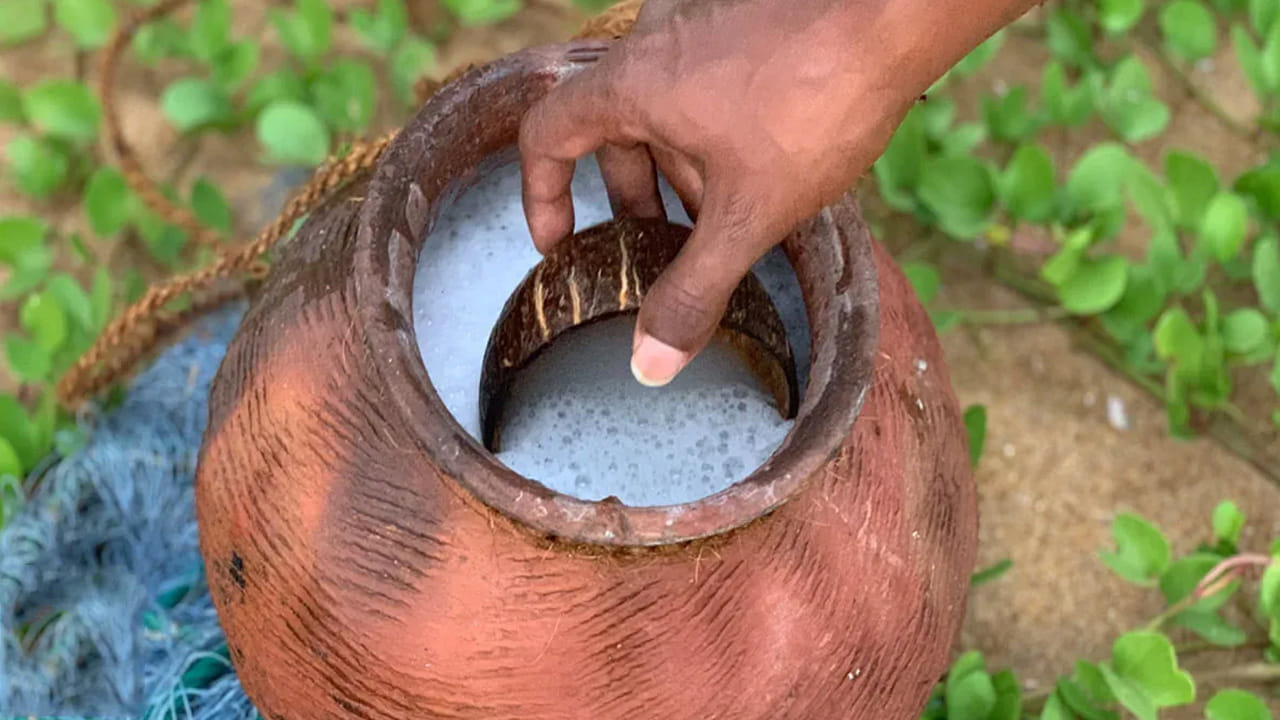 జాగ్రత్తలు: కల్లును సూర్యోదయానికి ముందే సేకరించిన నీరా రూపంలో తాగితే అది పూర్తి ఆరోగ్యకరం. ఎండ పెరిగే కొద్దీ అది పులిసిపోయి ఆల్కహాల్‌గా మారుతుంది. పులిసిన కల్లును అతిగా తాగడం వల్ల కాలేయం (Liver) దెబ్బతినే అవకాశం ఉంది. అలాగే కల్తీ కల్లు (Chloral Hydrate కలిపినది) ప్రాణాపాయానికి దారితీస్తుంది. కాబట్టి, స్వచ్ఛమైనది మాత్రమే తీసుకోవాలి.