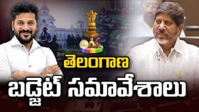 తెలంగాణ బడ్జెట్‌కు కేబినెట్ ఆమోదం