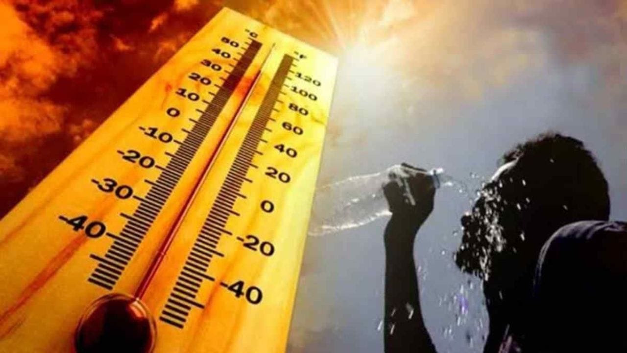 శనివారం మార్కాపురం జిల్లా బొట్లగూడూరులో 42.6°C, తిరుపతి జిల్లా రేణిగుంటలో 42°C, చిత్తూరు జిల్లా నగరిలో 41.2°C, కడప జిల్లా ఒంటిమిట్టలో 41°C, పల్నాడు జిల్లా గురజాలలో 40.9°C, విజయనగరం జిల్లా రాజాంలో 40.8°C, నెల్లూరు జిల్లా ఉదయగిరిలో 40.7°C, అనకాపల్లి జిల్లా రావికమతంలో 40.6°C, ప్రకాశం జిల్లా చెరువుకొమ్ముపాలెంలో 40.5°C, అన్నమయ్య జిల్లా గోపిదిన్నెలో 40.3°C, ఎన్టీఆర్ జిల్లా కంచికచర్లలో 40°C, కృష్ణా జిల్లా కంకిపాడులో 39.8°C చొప్పున అధిక ఉష్ణోగ్రతలు నమోదైనట్లు వెల్లడించారు. 