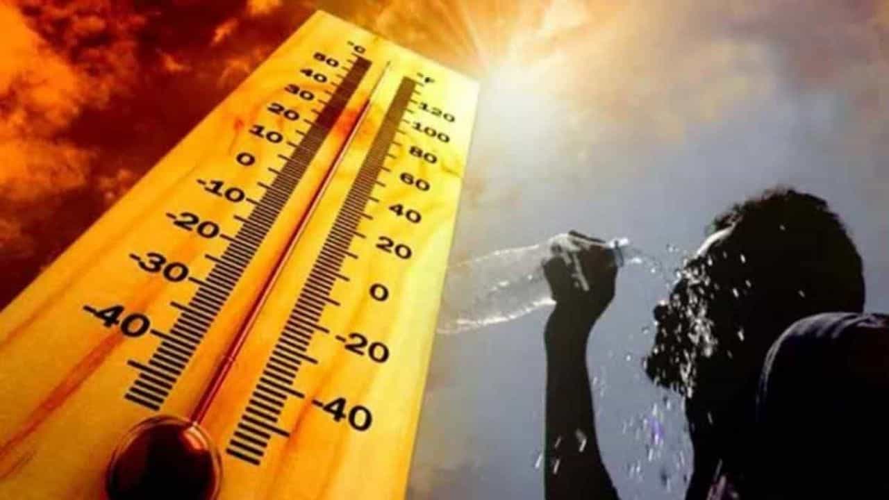 శనివారం మార్కాపురం జిల్లా బొట్లగూడూరులో 42.6°C, తిరుపతి జిల్లా రేణిగుంటలో 42°C, చిత్తూరు జిల్లా నగరిలో 41.2°C, కడప జిల్లా ఒంటిమిట్టలో 41°C, పల్నాడు జిల్లా గురజాలలో 40.9°C, విజయనగరం జిల్లా రాజాంలో 40.8°C, నెల్లూరు జిల్లా ఉదయగిరిలో 40.7°C, అనకాపల్లి జిల్లా రావికమతంలో 40.6°C, ప్రకాశం జిల్లా చెరువుకొమ్ముపాలెంలో 40.5°C, అన్నమయ్య జిల్లా గోపిదిన్నెలో 40.3°C, ఎన్టీఆర్ జిల్లా కంచికచర్లలో 40°C, కృష్ణా జిల్లా కంకిపాడులో 39.8°C చొప్పున అధిక ఉష్ణోగ్రతలు నమోదైనట్లు వెల్లడించారు. 