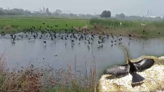 ఇదేం పద్దతి.. సమర్థవంతంగా పనిచేస్తేనే కలెక్టర్లుగా కొనసాగుతారు.. సీఎం రేవంత్ రెడ్డి సీరియస్