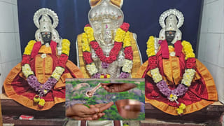 బాత్‌రూమ్ మిమ్మల్ని ధనవంతులను చేస్తుంది.. ఈ రహస్యాలు పాటిస్తే మీ ఇంట్లో లక్ష్మీదేవి తాండవమే..