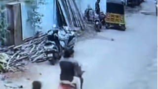 ఎయిర్‌పోర్ట్‌లో ప్రయాణికుడి సూట్‌కేస్ ఓపెన్ చేయగా షాక్..